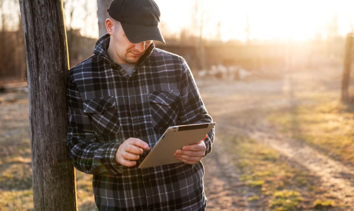 NetSuite Integration apps